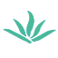 fangyuanguoji.pages.dev favicon